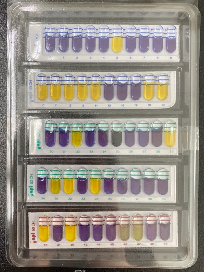 API 50CH, 50 CHL Medium : 네이버 블로그