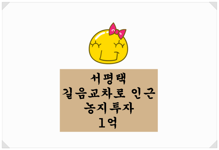  서평택 길음교차로 인근 농지투자. 1억 단필지~