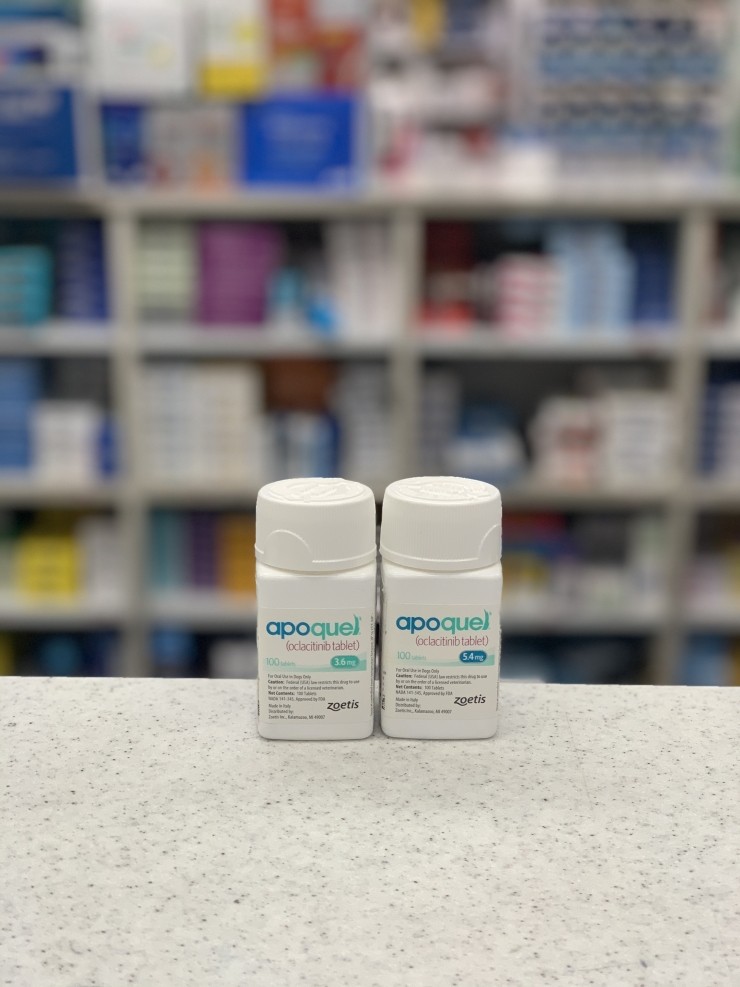  아포퀠 3.6, 5.4, 16mg 서울 사당 판매 동물약국 저렴하게 싸게 사는곳 서울최저가 추천 강아지 개 가려움증 소양증, 긁는, 아토피, apoquel, 아포쿠엘, 아포켈, 아포퀼 가격