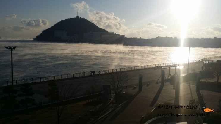  부산 겨울 바다 해무 오르는 영도 멋진 전경