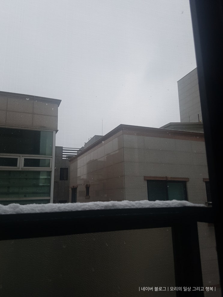 눈 오는 날 집에서 눈사람 만들기 & 성균관 & 혜화 낙산공원