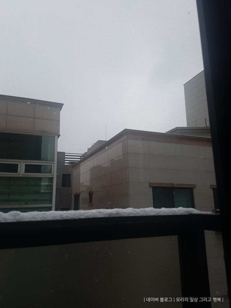 눈 오는 날 집에서 눈사람 만들기 & 성균관 & 혜화 낙산공원 눈 오는 날 집에서 눈사람 만들기 & 성균관 & 혜화 낙산공원