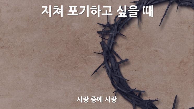  사랑 중에 사랑