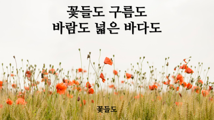  꽃들도(Flowers)