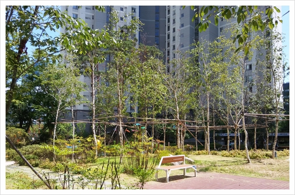   평촌더샵 아파트 전세 / 평촌더샵 센트럴시티 아파트 전세