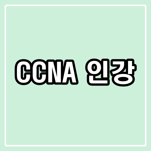 CCNA 인강 : 네트워크 엔지니어를 향한 첫 걸음