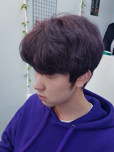  애쉬바이올렛