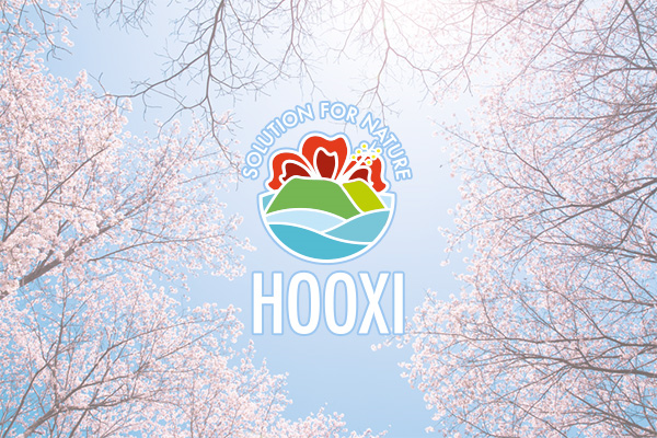 [HOOXI EVENT_후시이벤트] 벌써 봄? 후시워터에도 봄이 오나 봄 