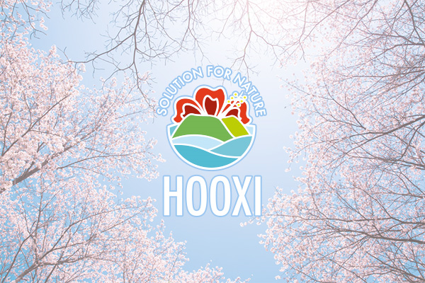  [HOOXI EVENT_후시이벤트] 벌써 봄? 후시워터에도 봄이 오나 봄 