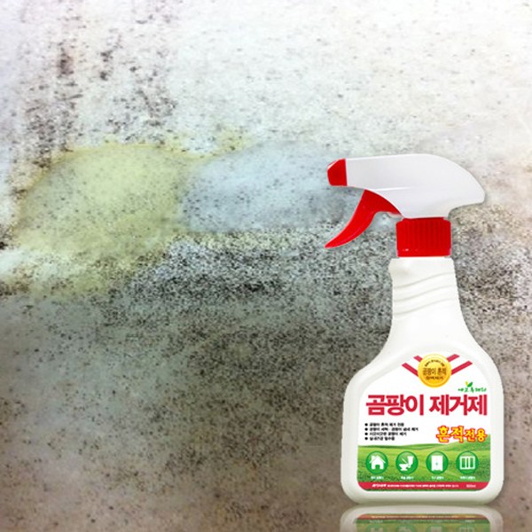   에코후레쉬 흔적전용 곰팡이제거제, 500ml, 1개_46 [투데이 핫딜]