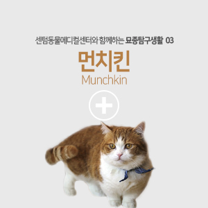  묘종탐구생활 - 먼치킨(Munchkin)