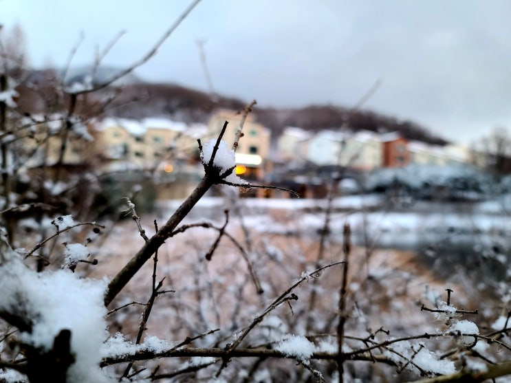  [광고] Galaxy S20 Series 비교.