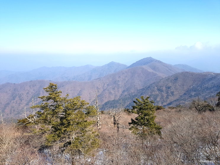 계방산 등산코스(운두령~전망대~정상~계방산삼거리)