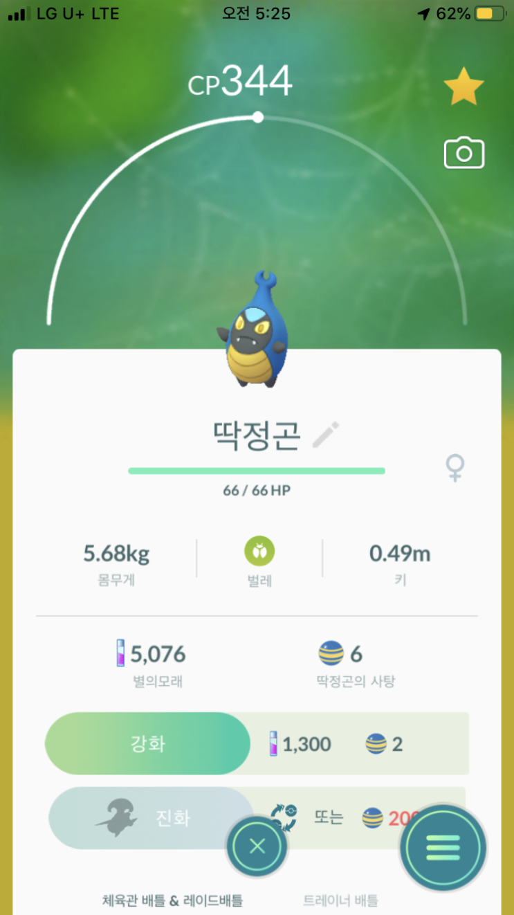  딱정곤