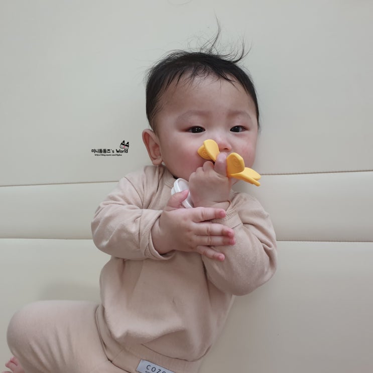  [내돈내산] 꼬꼬노리 #츄츄블룸치발기세트 (치발기, 과즙망, 칫솔, 아기컵을 한번에!) + 사용후기 (장,단점)
