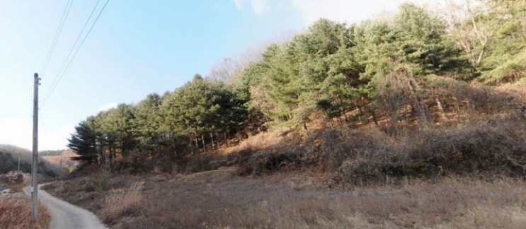 [가평 부동산] 가평 산유리 전원주택, 세컨하우스, 귀농귀촌준비 가능한 임야 매물