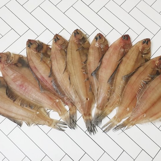  쿠팡배송 속초수산 기름가자미 반건조생선 5마리 50g