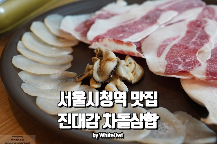 서울시청 맛집 진대감 입이 즐거운 차돌삼합
