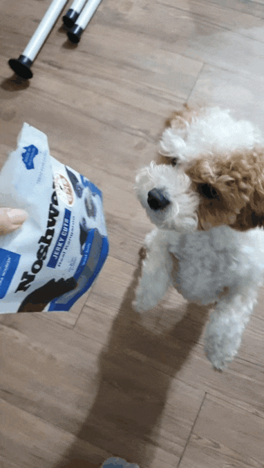 강아지육포 : 강아지져키 캥거루고기 건강한 간식으로 추천!