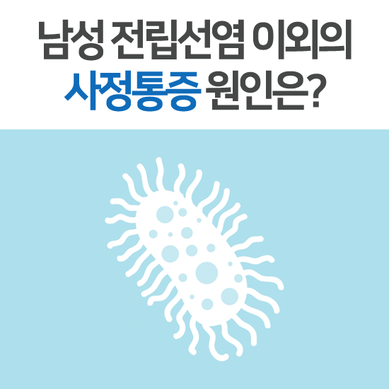 남자 사정통증 원인은 전립선염? 그 외의 위험 요인은? : 네이버 블로그