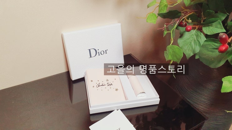  디올화장품 마일리지제도 분석하기/디올화장품 포인트 선물[고을의 명품스토리]