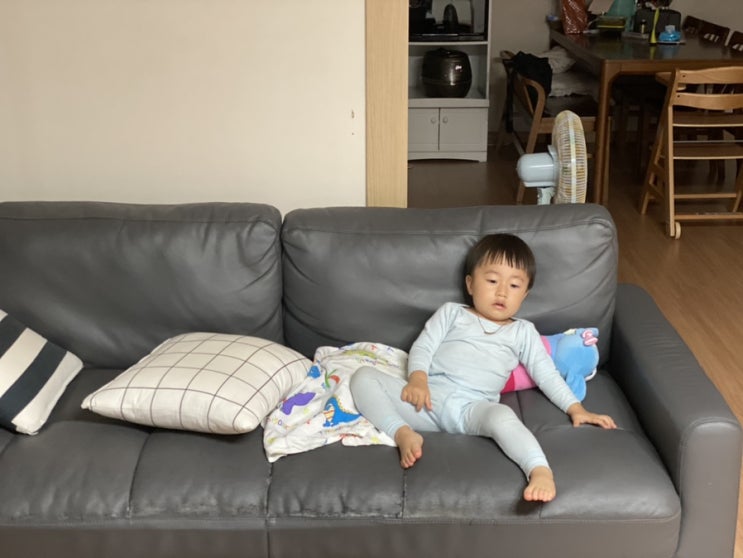  나무아빠의 육아일기(93)