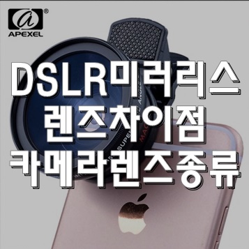  차이점이 뭘까? DSLR 미러리스 구별하기와 카메라 렌즈 종류 제대로 알아보자!