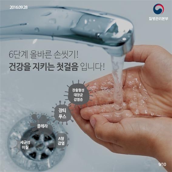 코로나 바이러스 감염증19 - 최고의 예방은 손 씻기다. : 네이버 블로그