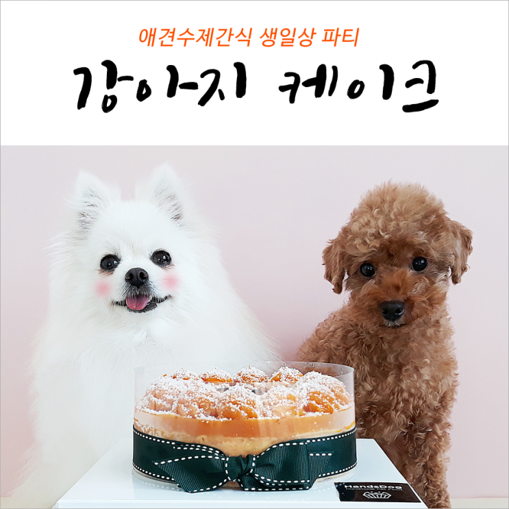  강아지생일 케이크 생일상 파티 준비