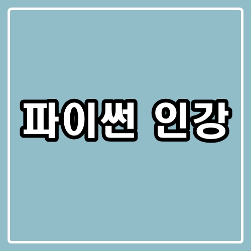 파이썬 인강 : 프로그래밍에 입문하기