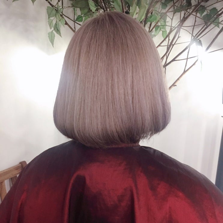  탈색 전문 미용실 까헤어, 머쉬룸블론드 컬러 염색  hongdae hair salon CCA HAIR ash blonde hair color