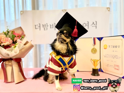  똥꼬발랄상 
