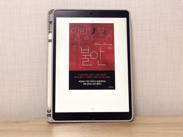  #17 [ 불안 / 알랭 드 보통 ] 불안은 과정의 연속일 지 모른다
