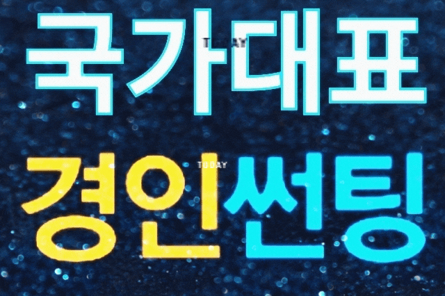  분당 판교 신도시 아파트 거실창문썬팅 판교 일대 주택단지 타운하우스 통유리창문썬팅 열차단썬팅 햇빛차단썬팅 시선차단선팅