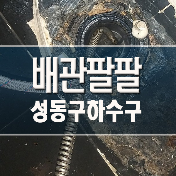 성동구하수구 막힘 배관 각종 원인 제거