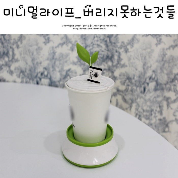 미니멀라이프 버리기 & 제로웨이스트 주방살림 정리_버리지 못하는 것들에 대해 미니멀라이프 버리기 & 제로웨이스트 주방살림 정리_버리지 못하는 것들에 대해