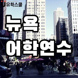  뉴욕어학연수 중 합리적인 비용의 트랜스퍼를 원하신다면?