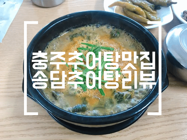 충주 추어탕맛집 송담추어탕 솔직리뷰 :)