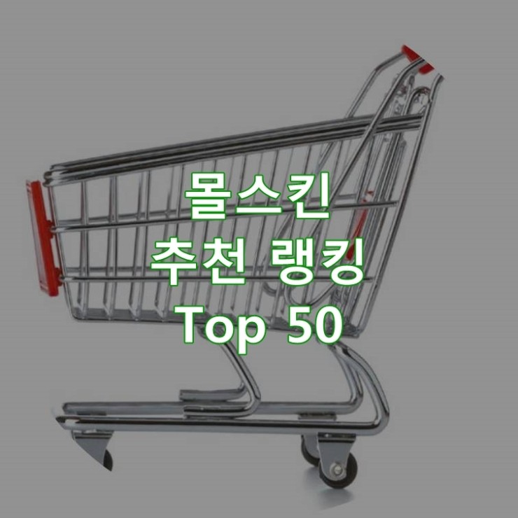  가성비 좋은 몰스킨 리뷰 베스트 50