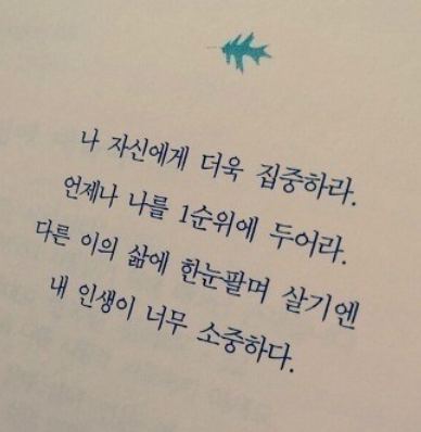 --2월19일 상한가정리-- --2월19일 상한가정리--