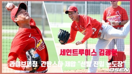 (세인트루이스) 김광현 근황