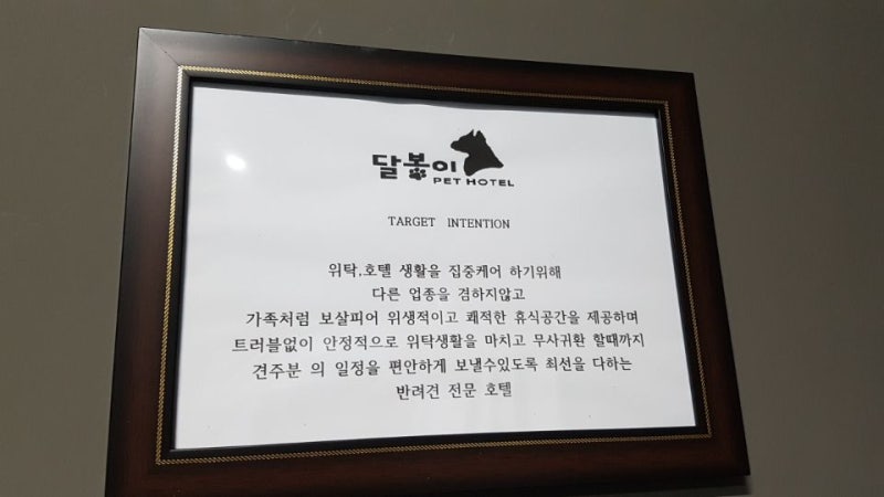 사진 4
