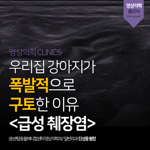  [영상의학과] 우리집 강아지가 폭발적으로 구토한 이유 <급성 췌장염>(부산 연제구 거제동 연산동 소화기 영상 분석 전문 동물병원)