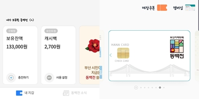  부산에선 동백전 카드 안쓰면 손해