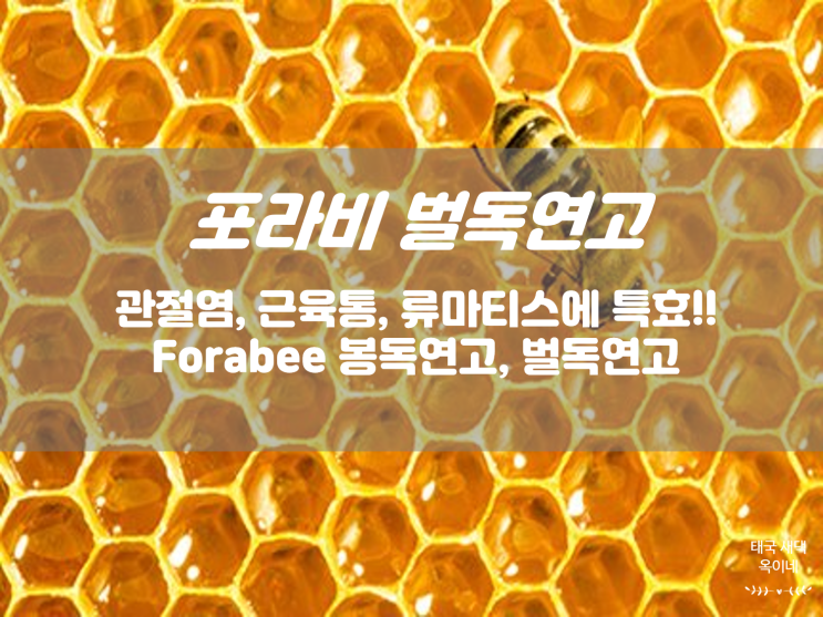  포라비 벌독연고 류마티스 관절염 저린부위에 특효