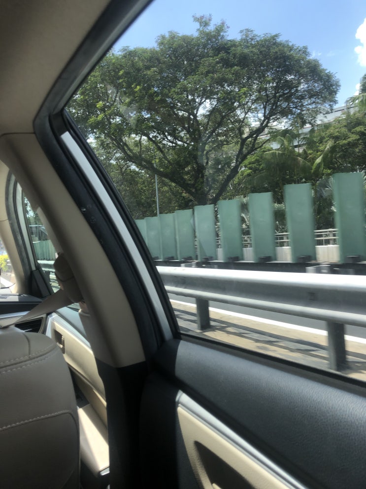 [싱가포르 일상] 요즘 대중교통은 노노! 그나마 택시가 필요한 이유, 그리고 싱가포르의 3가지 택시 이용법