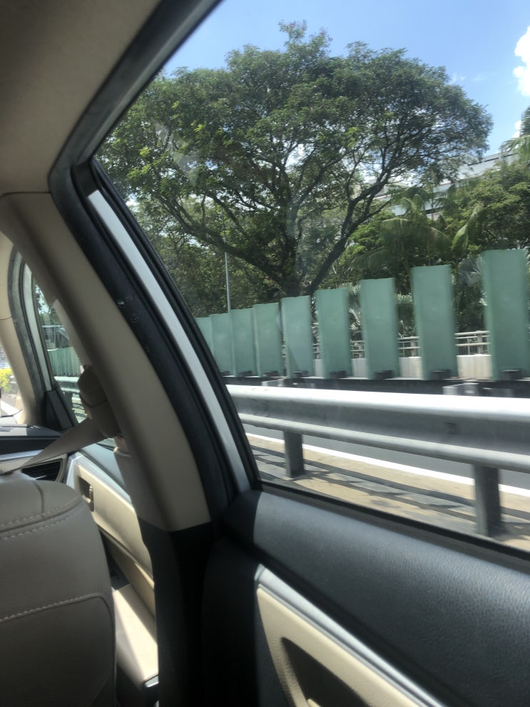  [싱가포르 일상] 요즘 대중교통은 노노! 그나마 택시가 필요한 이유, 그리고 싱가포르의 3가지 택시 이용법