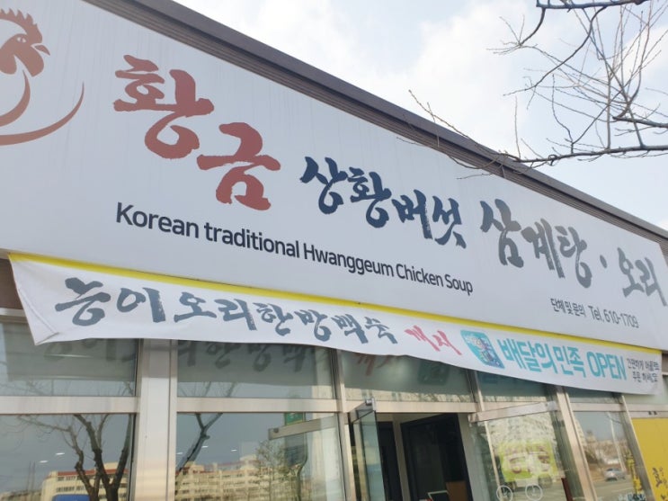  오천 황금상황버섯 삼계탕,오리