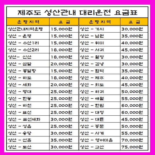오늘밤은 제주 대리운전을 추천합니다
