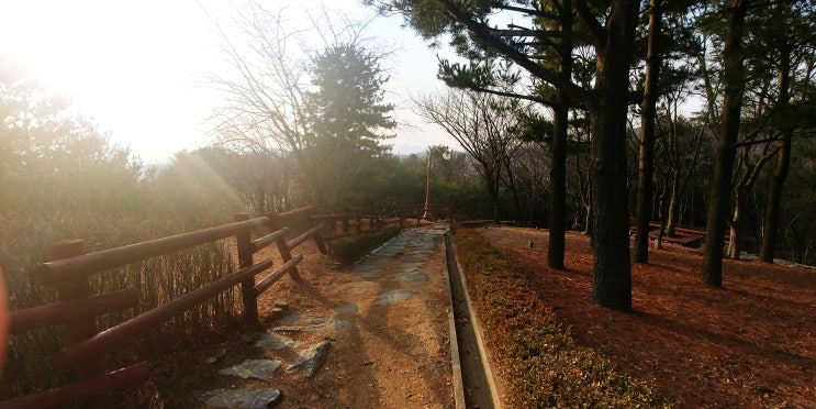  성남 가볼만 한 곳 - 은행공원(삼보사,광천사)
